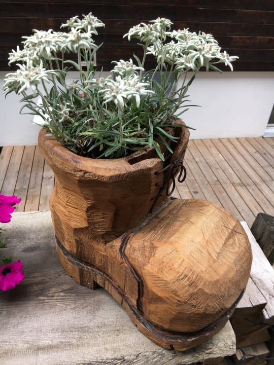 Sonstiges Europe Hotel & Spa