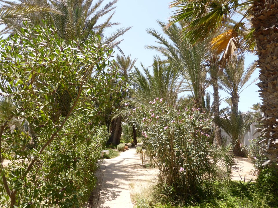 Aussenanlage Hotel Sangho Club Zarzis