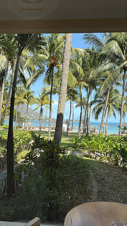 Gartenanlage Sands Suites Resort & Spa