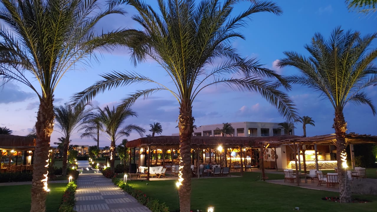 Gastro Steigenberger Resort Ras Soma