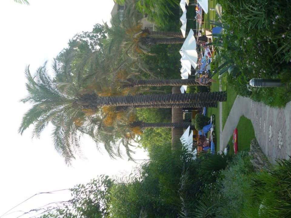 Die Palmen Asteria Family Belek