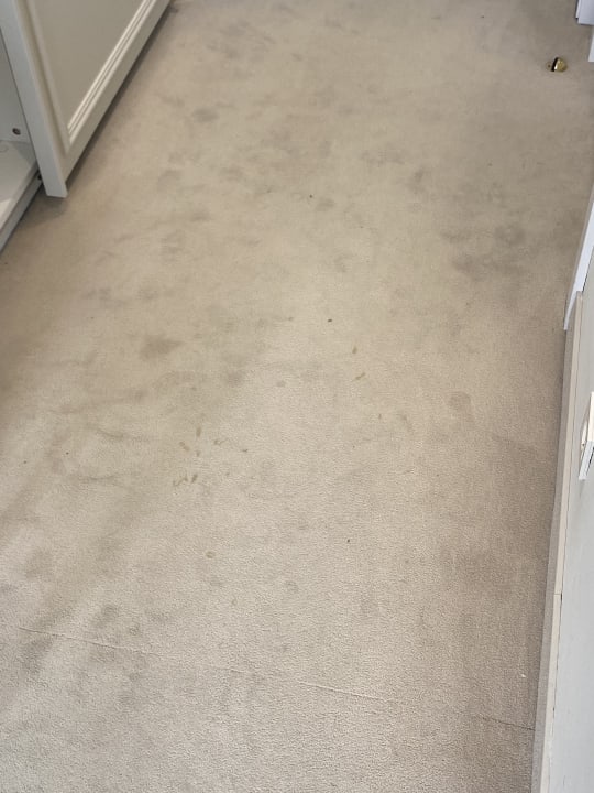 Zimmer Hotel Bellevue - Liburnia