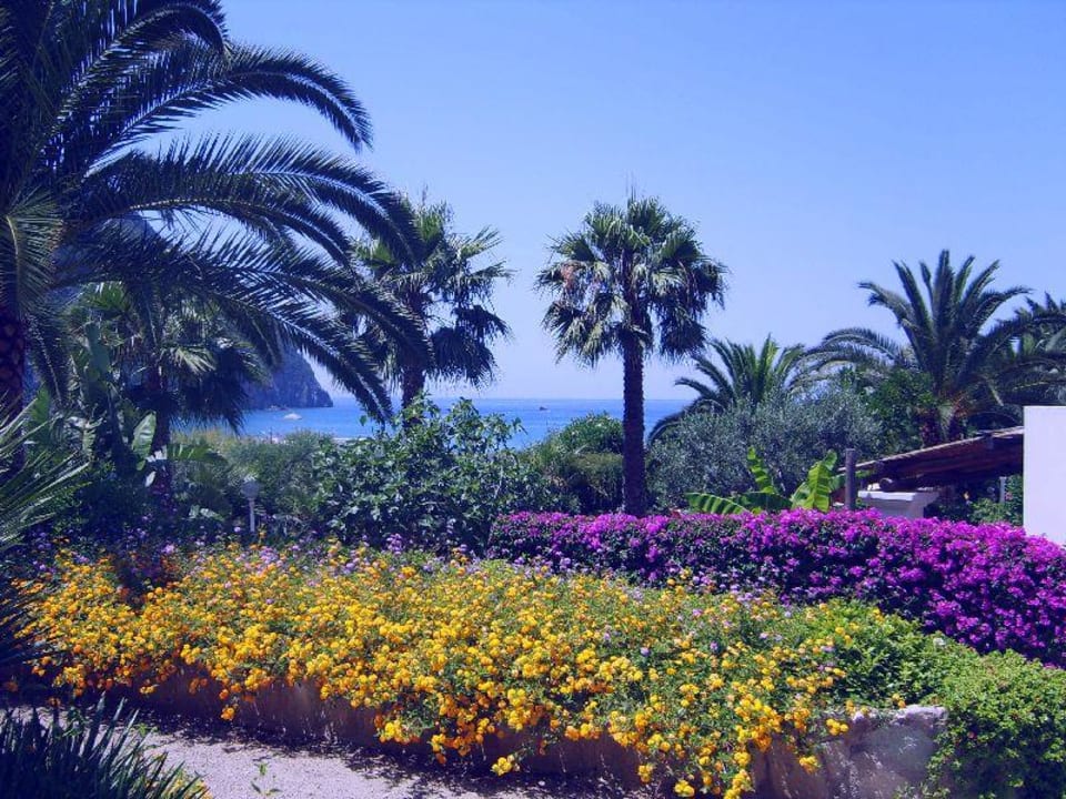 Dettaglio giardino Semiramis Hotel de Charme