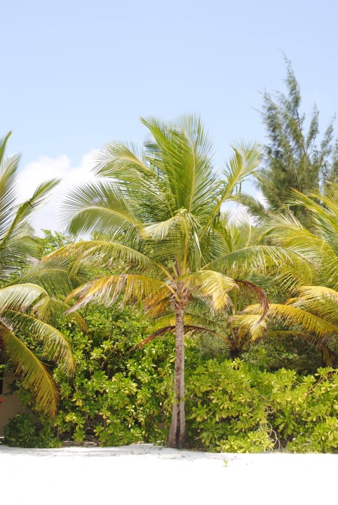 Strand an der Nord-West Seite Summer Island Maldives