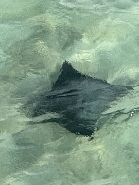 Strand Casa Mare Resort