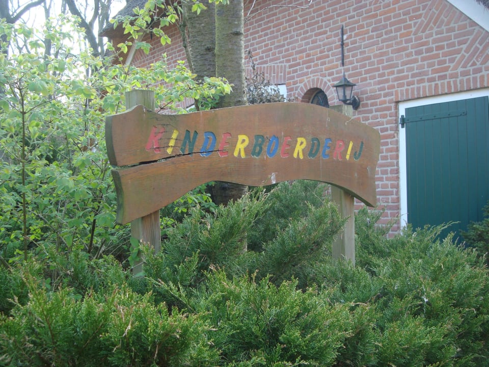 Streichelzoo Ferienpark Landal Landgoed 't Loo
