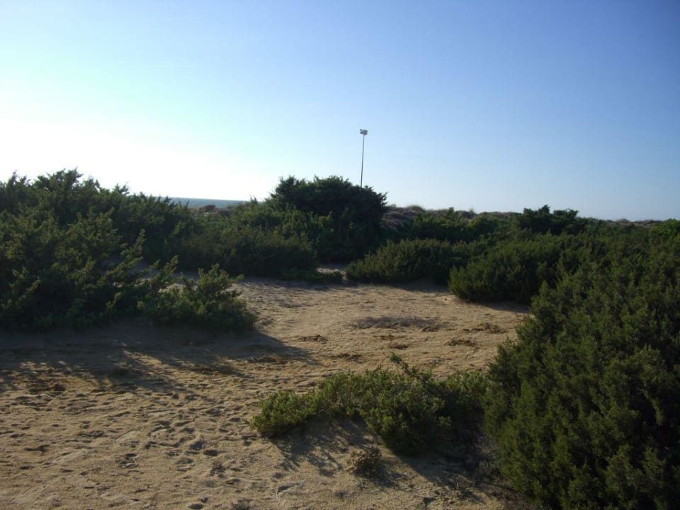 Weg zum Strabd Sol Sancti Petri Apartamentos