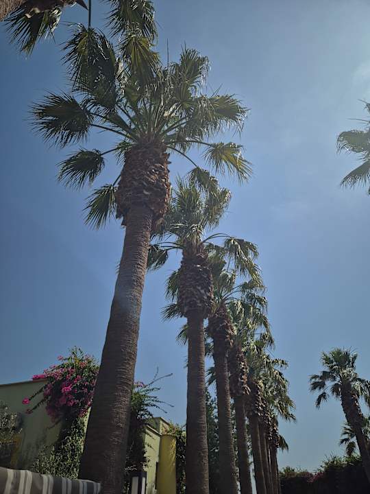 Außenansicht VONRESORT Golden Beach