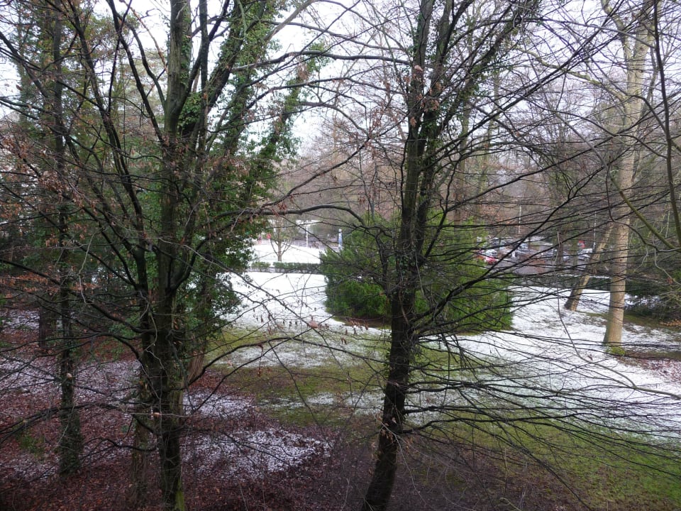 Blick in den Garten Vienna House Easy Bad Oeynhausen