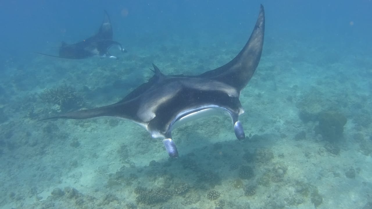 Sonstiges Summer Island Maldives