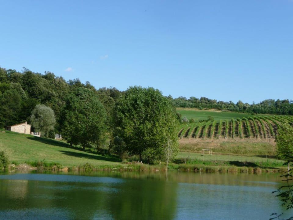 Panorama/Vista Agriturismo San Bernardino del Lago