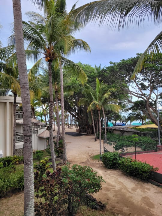 Ausblick Lagoon Attitude - Adults only