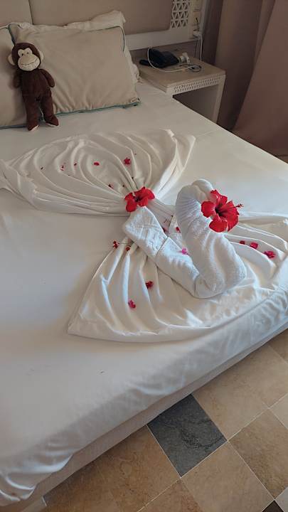 Zimmer Djerba Sun Beach Hotel & Spa