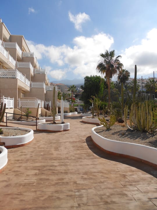 Gartenanlage Hotel Tropical Park