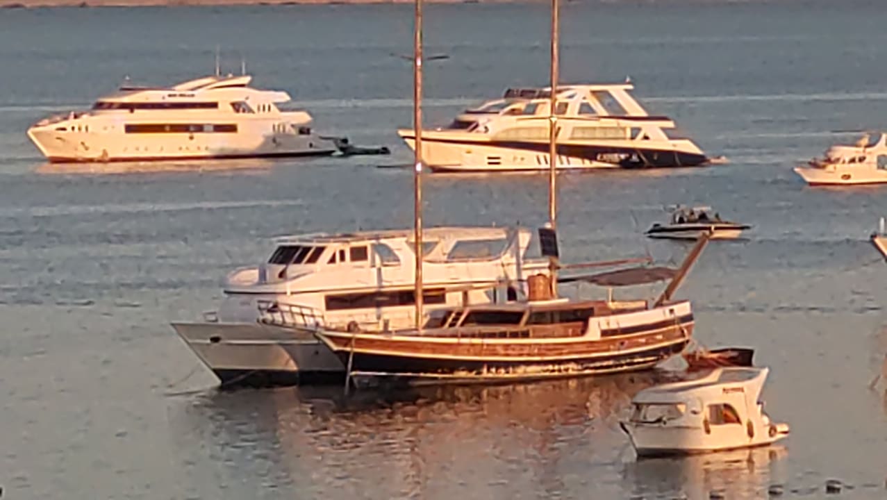 Ausblick Pickalbatros White Beach Resort - Hurghada