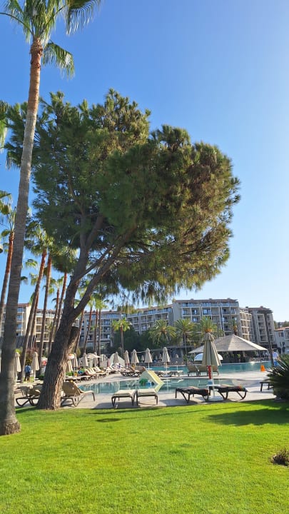 Pool Arum Barut Collection