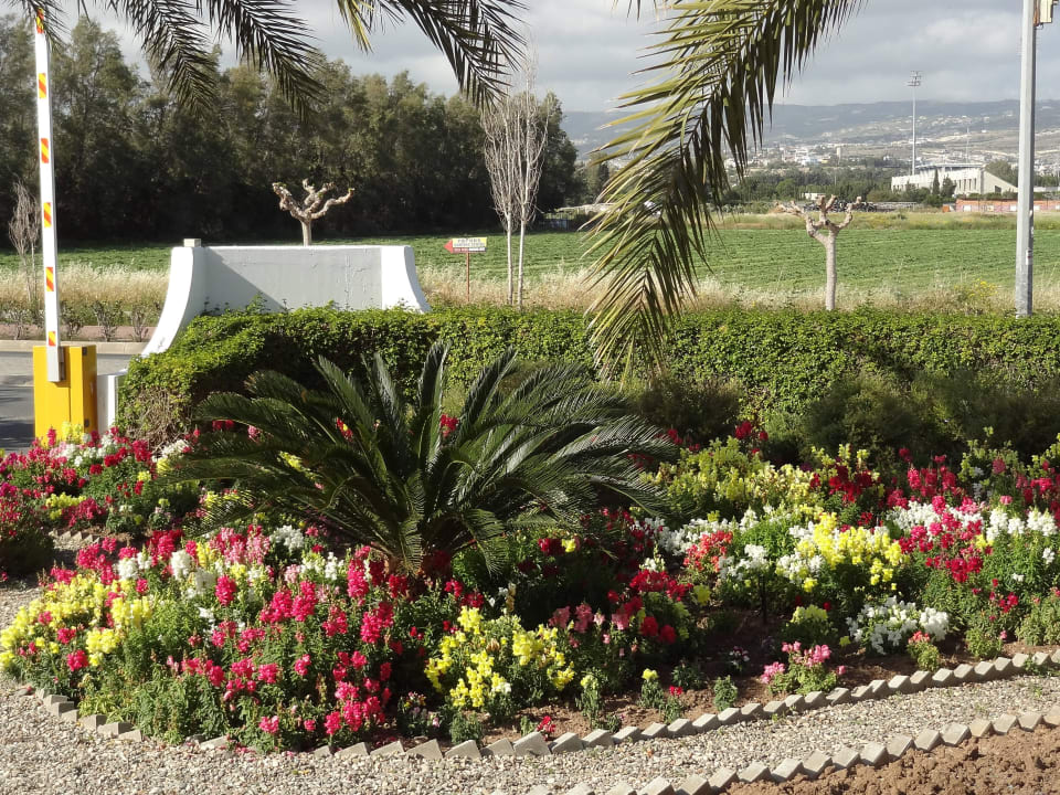 Schöne Gartenanlage TUI BLUE Pioneer Beach