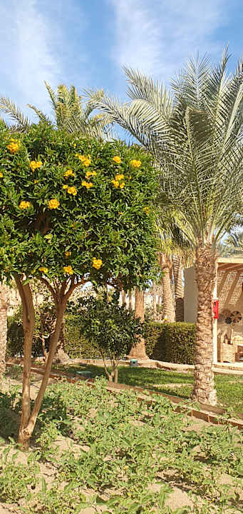 Gartenanlage Mövenpick Resort El Quseir