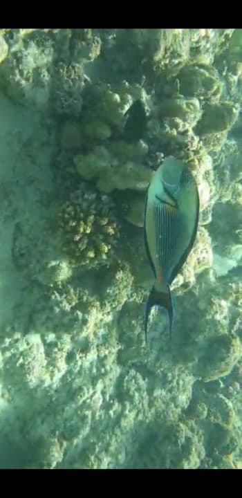 Strand Premier Le Reve Hotel & Spa