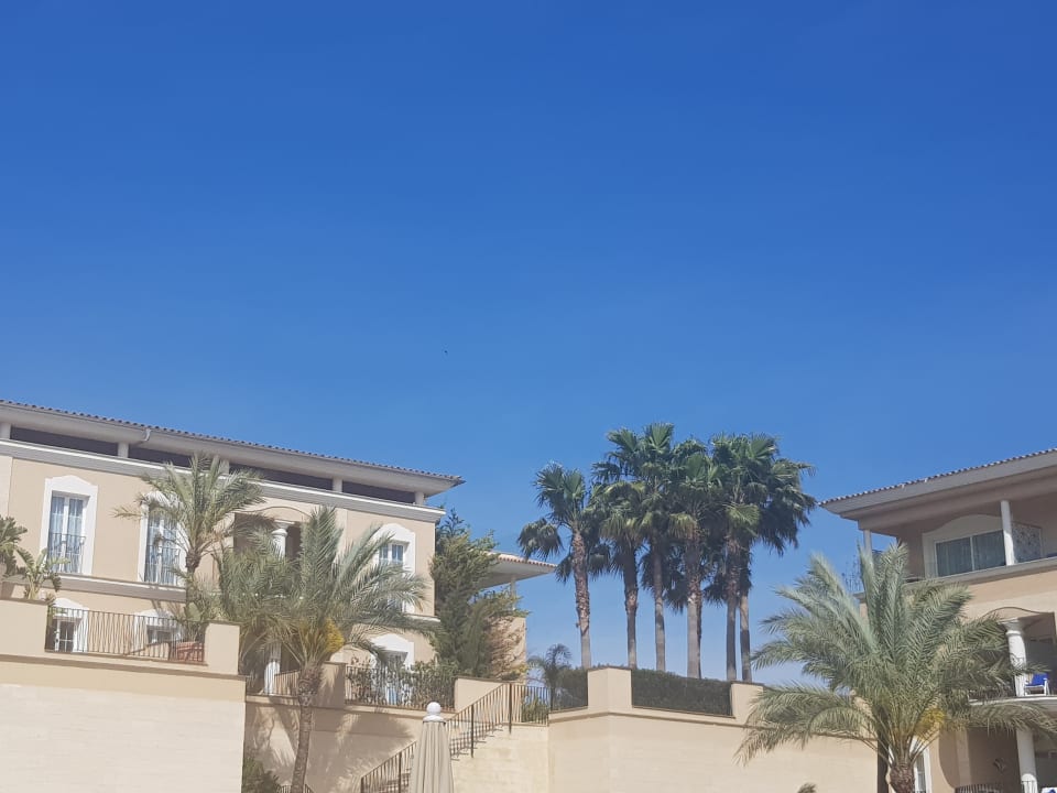 Gartenanlage Grupotel Playa de Palma Suites & Spa