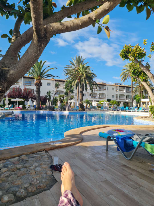 Pool Alcudia Garden Aparthotel