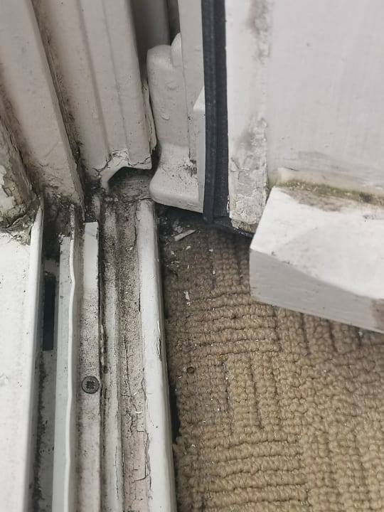 Zimmer Bergström Hotel Lüneburg