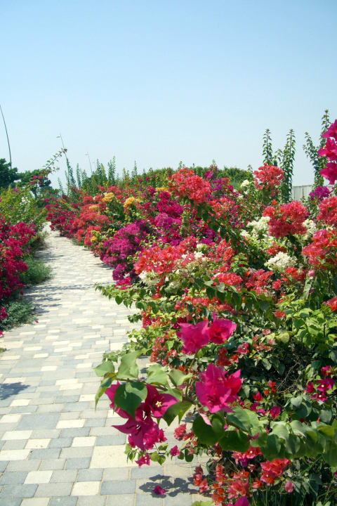 Weg zum Strand Crowne Plaza Hotel Yas Island