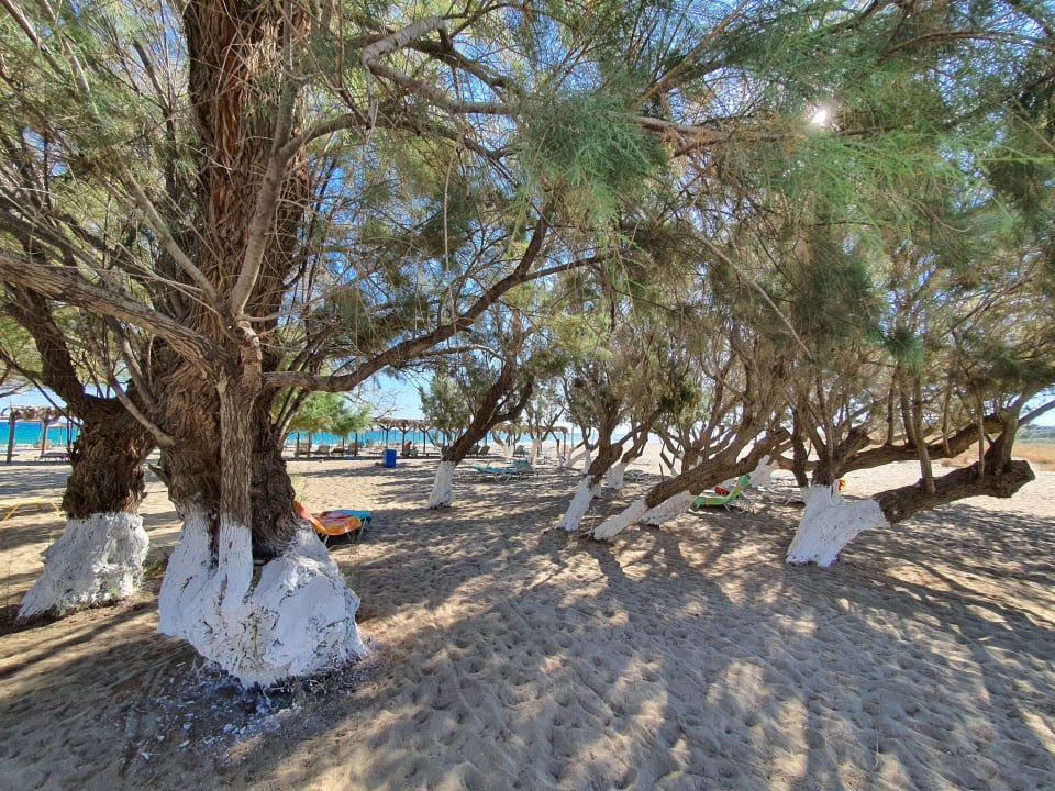 Strand Apollonia Beach Resort & Spa