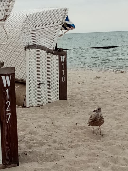 Strand Hotel Zur Ostsee