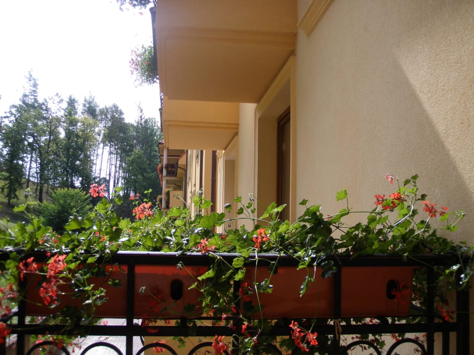 Balkon Kurhotel Lysec