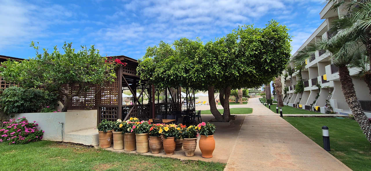 Gartenanlage allsun Hotel Malia Beach