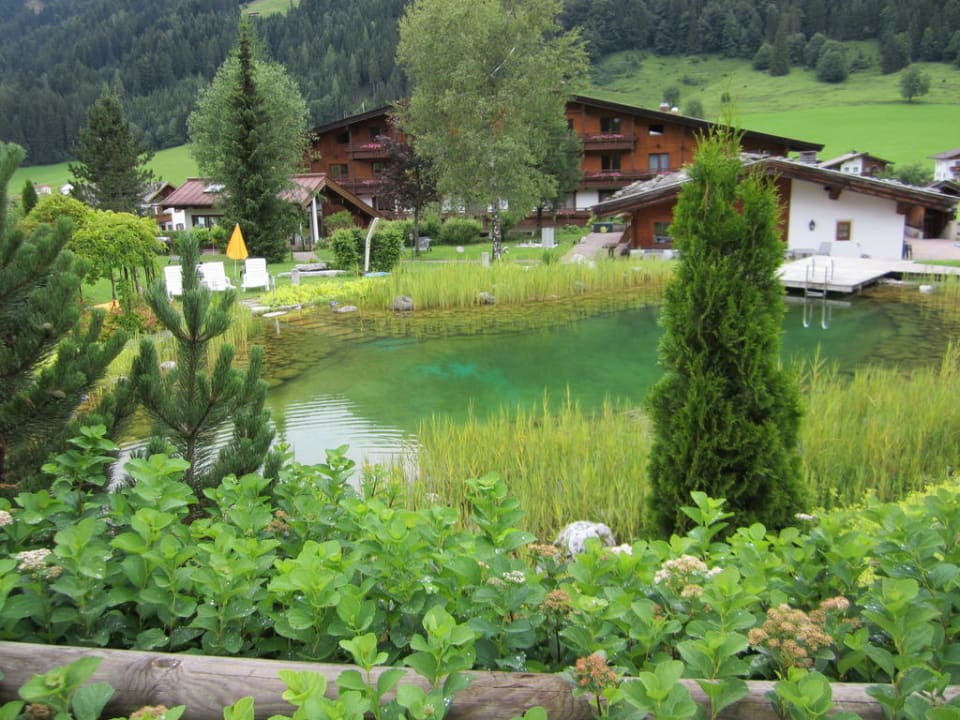 Der schöne Garten mit Schwimmteich Hotel Kitzspitz
