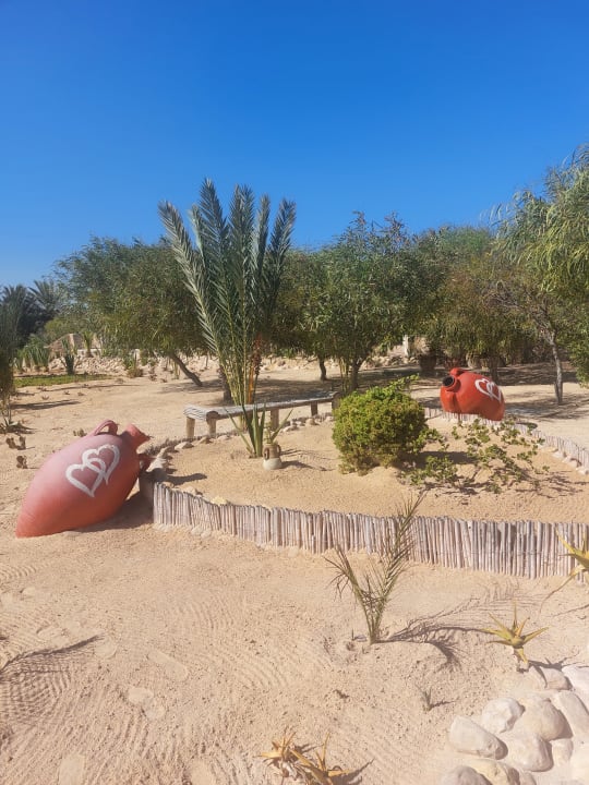 Gartenanlage Iberostar Waves Mehari Djerba