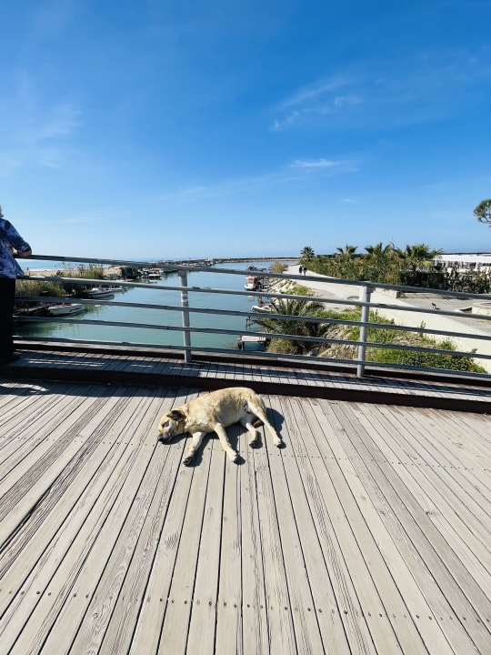 Strand Bella Resort & Spa