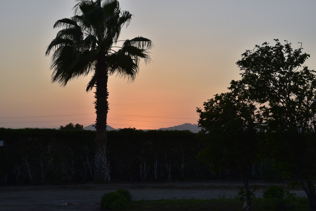 Ausblick SUNRISE Cardina Resort