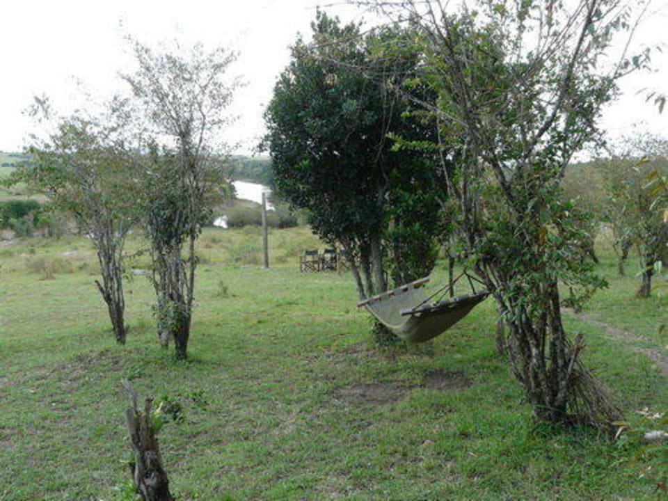 Blick vom Restaurantzelt auf Hängematte und Mara Entim Masai Mara Camp