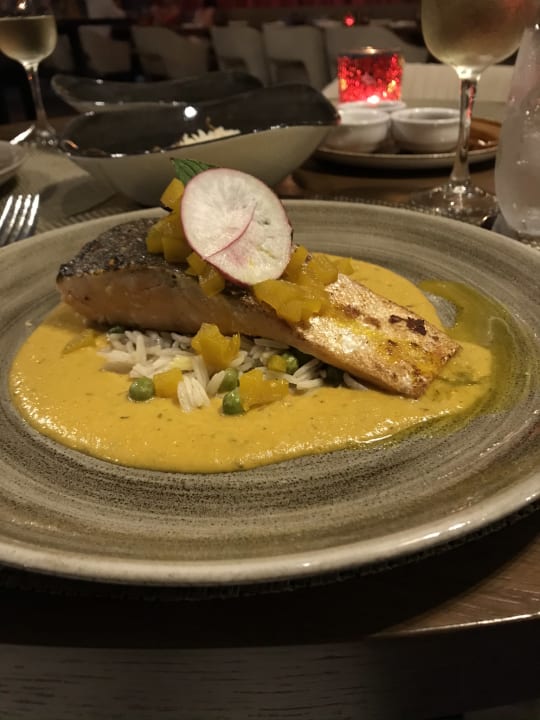 Gastro TRS Coral Hotel - Adults Only