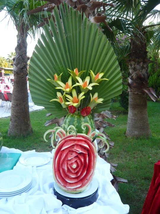 Tollgemacht Hane Family Resort