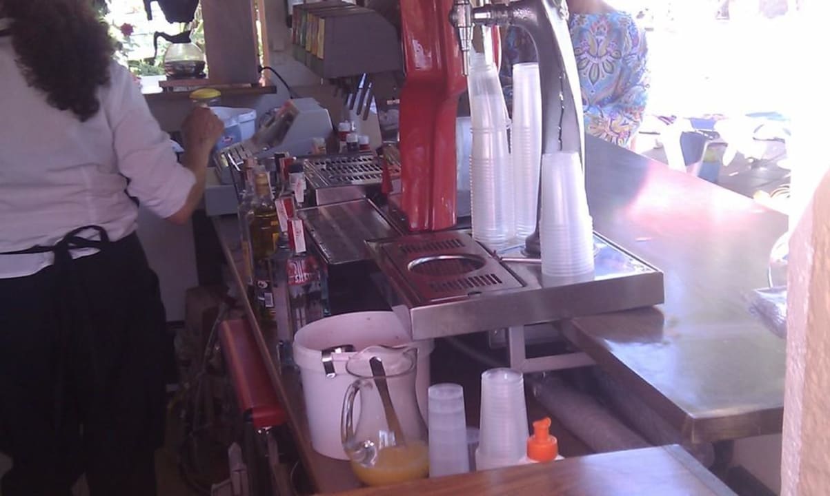 Sangria Reverence Mare - Adults only