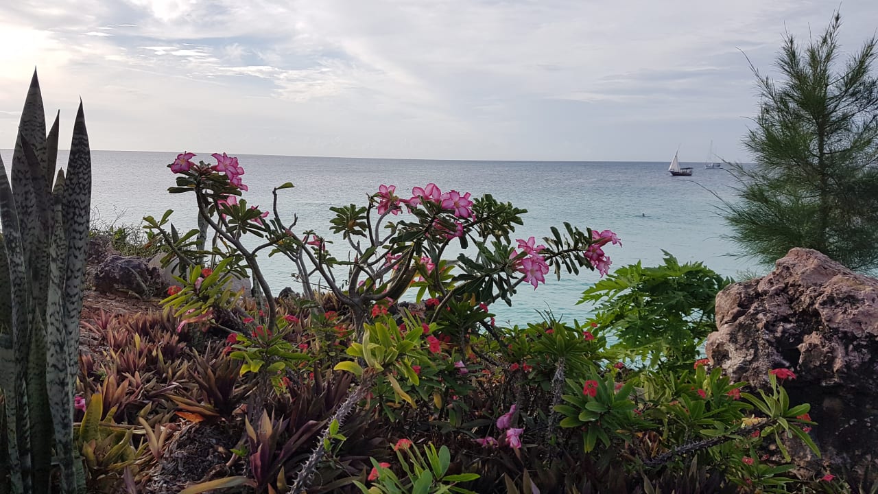 Strand Royal Zanzibar Beach Resort