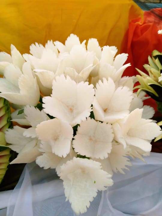 2016' Monachus Family Resort Sorgun