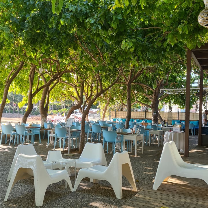 Gartenanlage Numa Bay Exclusive Hotel