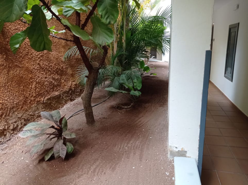 Gartenanlage Hotel Riu Vistamar