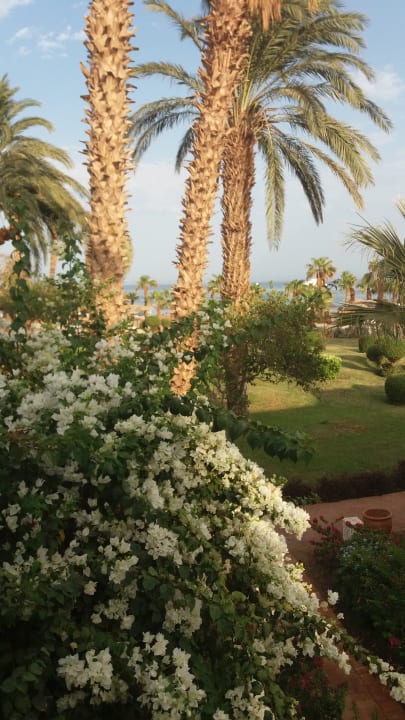 Gartenanlage Lotus Bay Beach Resort