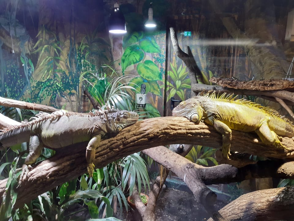 Sonstiges Ferienwohnungen Ferienpark Weissenhäuser Strand