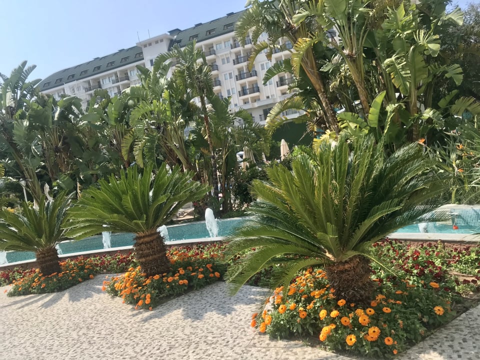 Gartenanlage Hotel Delphin Imperial