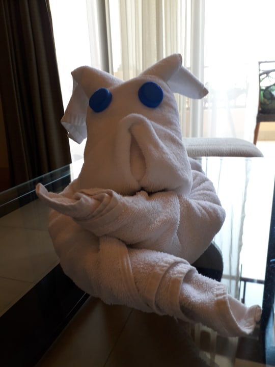 Zimmer The Cove Rotana Resort