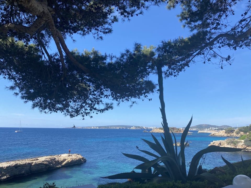 Ausblick Hotel Bendinat