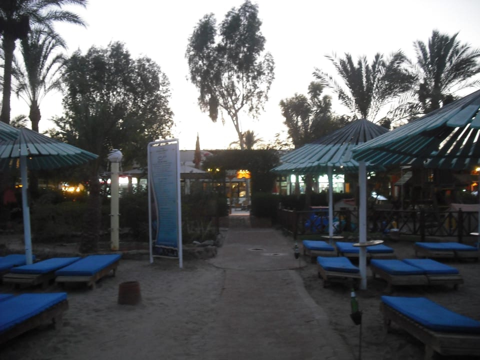 Leigen am Strand Ghazala Beach