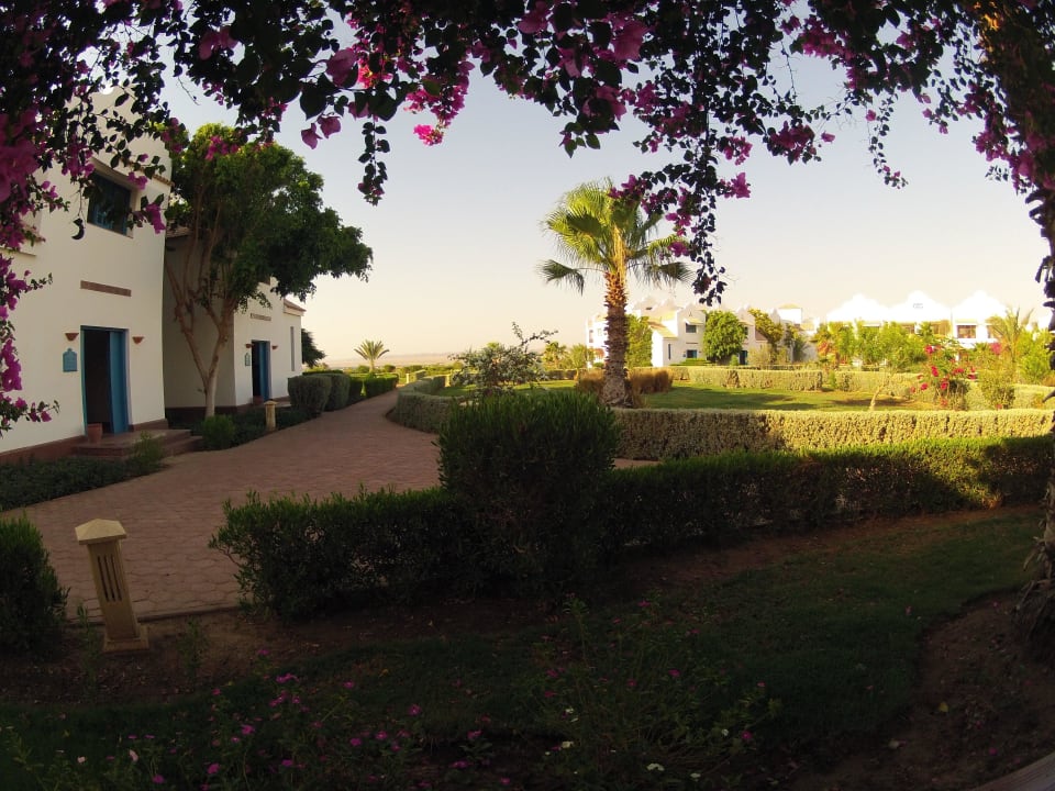 Vom Zimmer 1023 Lahami Bay Beach Resort